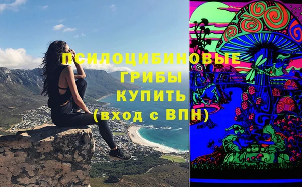 первитин Алексин