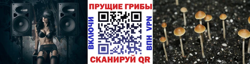 Галлюциногенные грибы MAGIC MUSHROOMS  Волхов 