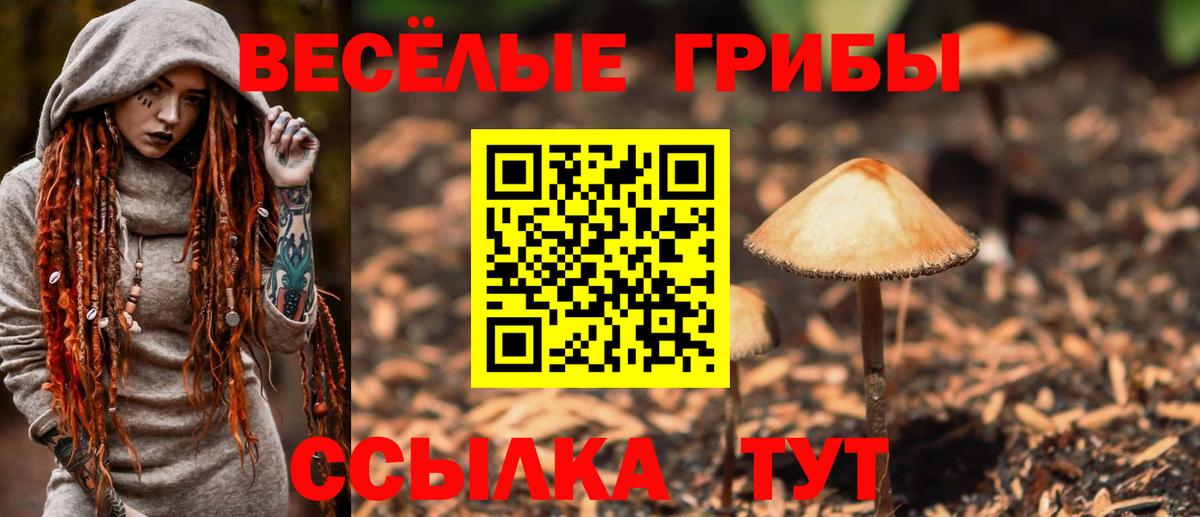 Галлюциногенные грибы прущие грибы  Вход с VPN  Волхов  как найти закладки  Псилоцибиновые грибы ЛСД 