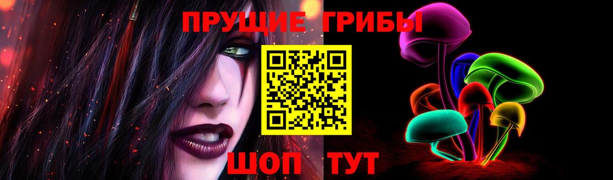 Псилоцибиновые грибы Cubensis Волхов