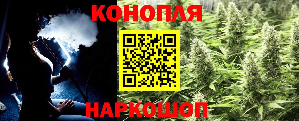 Шишки марихуана марихуана Волхов